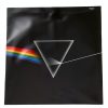 Floyd Progressive Rock CD 12.1x12.2 Inch Album Cover-2